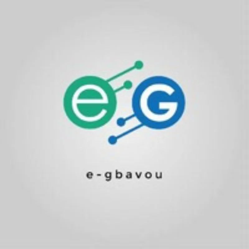 Réalisation de site types e-gbavou